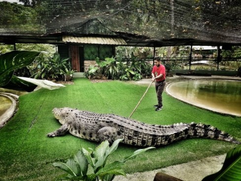 Langkawi Crocodile Adventure Land for Explore Combo